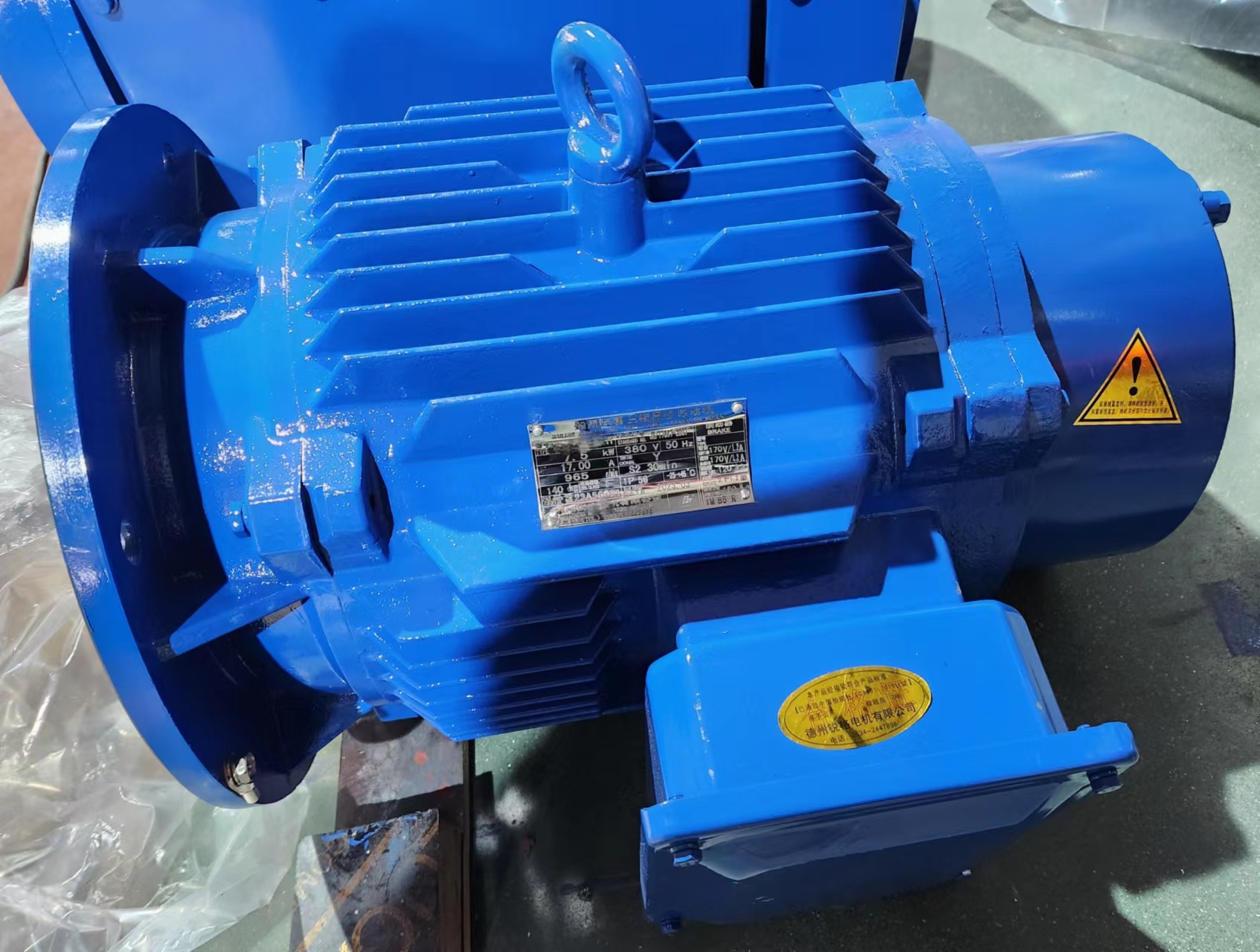 Marine Brake Motors