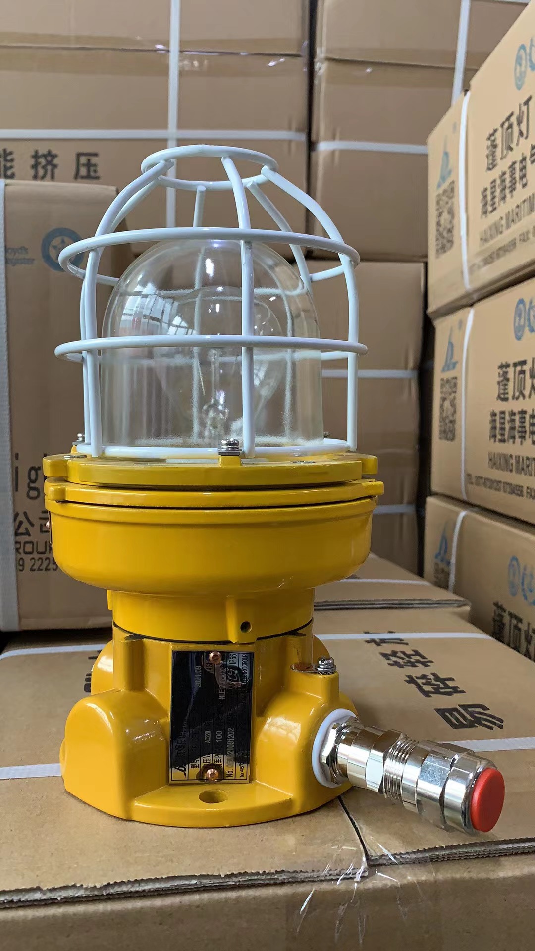 Marine Explosion proof light-3